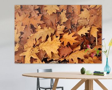 Herbstblätter (amerikanische Eiche) von Frans Roos