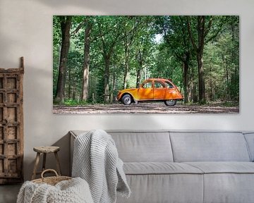 Citroen 2CV in the forest by Evelien