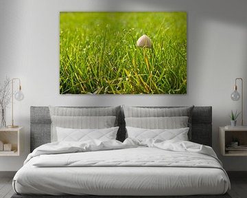 Einsamer Pilz im grünen Gras von Mario Verkerk
