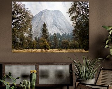 Yosemite by Ingeborg van Bruggen