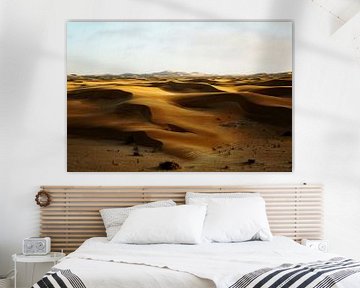Golden hour in the Namib by Rinke van Brenkelen