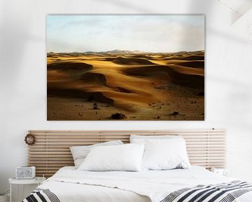 L'heure d'or dans le Namib sur Rinke van Brenkelen