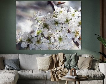 Fruitbloesems 6
