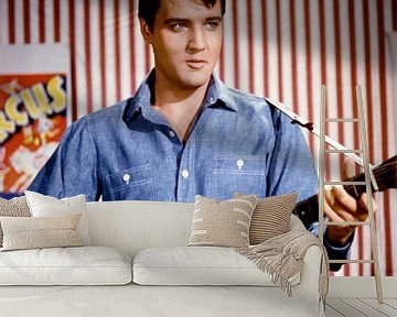 Elvis Presley, 1964 by Bridgeman Images