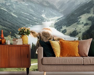 Tiroler Kuh in wunderbarer Sommerlandschaft im Zillertal von Daniel Kogler
