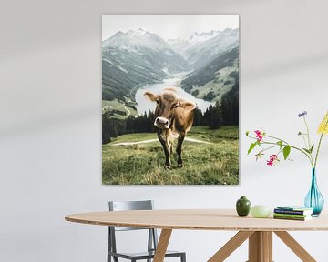 Tiroler Kuh in wunderbarer Sommerlandschaft im Zillertal von Daniel Kogler