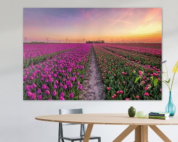 Tulpenveld in Flevoland van Dennisart Fotografie