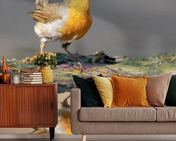 Mirror mirror on the wall