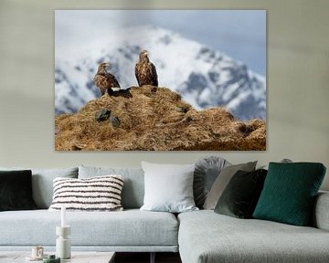Weißkopfseeadler-Paar auf dem Aussichtspunkt