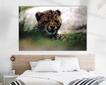 Portret van slaperige cheeta welp van Bobsphotography