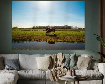 Hollandse Landschappen van Brian Morgan