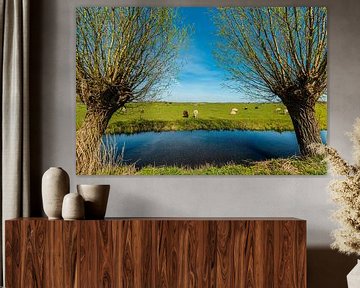 Pollard willow frame by Brian Morgan