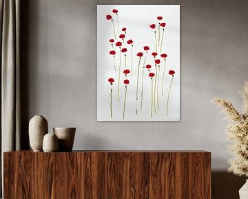 Painting poppies elegance by Bianca ter Riet