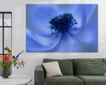 blaue Blume von Vliner Flowers