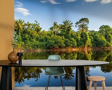 View on the Suriname river by Marcel Bakker