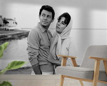 Liz Tayler and Eddie Fisher by Bridgeman Images