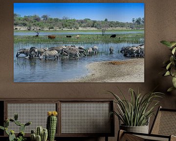 Makgadikgadi Pan by Rinke van Brenkelen