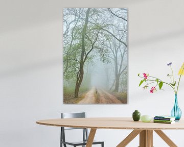 Route de sable avec un arbre qui devient vert dans le brouillard sur Jenco van Zalk