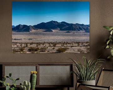 Mojave desert -4 by Keesnan Dogger Fotografie