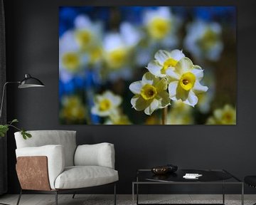 Voorjaar's bloemen  (narcissen) van Frans Roos