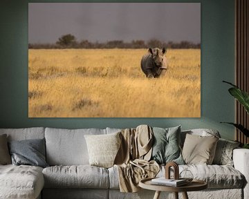 White rhino on the plains of Etosha, Namibia. by Dennis Van Den Elzen