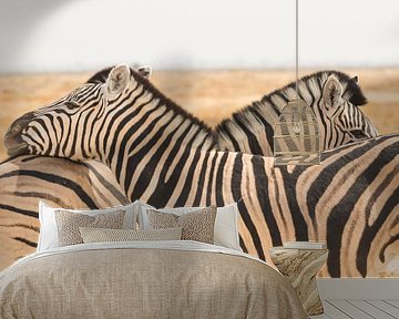 Zebras in Namibia by Dennis Van Den Elzen