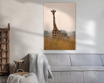 Giraffe langs de Nijl van Dennis Van Den Elzen