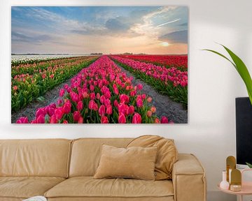 Tulpen uit Holland van Richard Gilissen