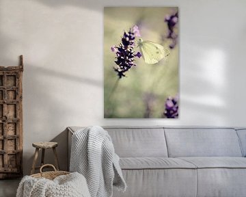 Lavender dreams von LHJB Photography