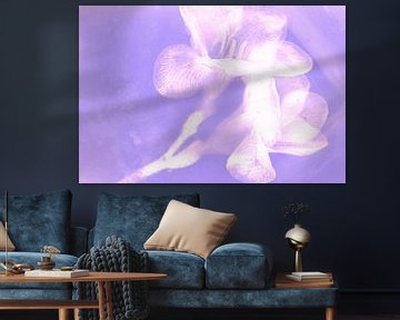 Freesias in Roze van Marc Heiligenstein