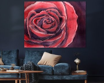 De rode roos (aquarel schilderij bloemen planten rozen rood liefde Valentijnsdag close-up rood mooi) van Natalie Bruns