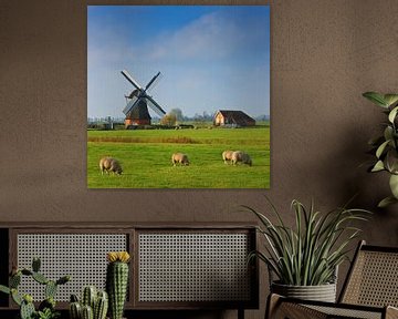 Windmill "De Jonge Held", Leegkerk, Groningen, Netherlands