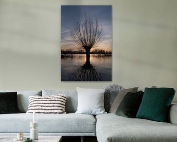 Le saule de Pollard dans les plaines inondables sur Moetwil en van Dijk - Fotografie