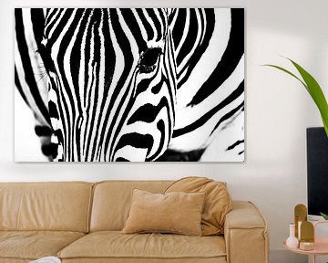 Zebra van Angelika Stern