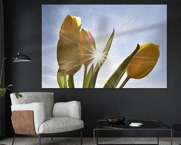 Yellow tulips in the sun by Daphne van der straaten