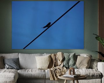 vogel eenzaam op een draad tegen blauwe lucht