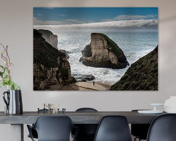 Shark Fin Cove - Davenport van Keesnan Dogger Fotografie