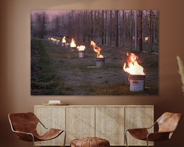 Fire pots cherry orchard