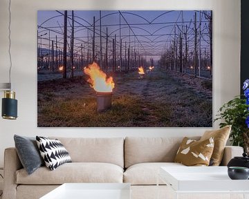 Fire pots cherry orchard