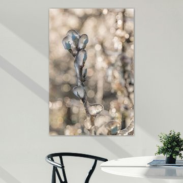 Bewässerung von Blüten in der Betuwe von Moetwil en van Dijk - Fotografie