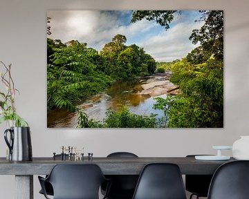 Uitzicht op de Suriname rivier bij het Awarradam jungle camp, Suriname van Marcel Bakker