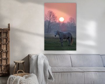 Paard bij zonsopgang van Bart Ceuppens