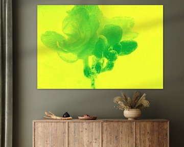 Freesie 2 in het groen van Marc Heiligenstein