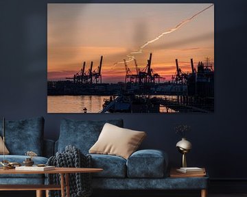 waalhaven rotterdam kranen cranes ect zonsondergang sunset van Marco van de Meeberg