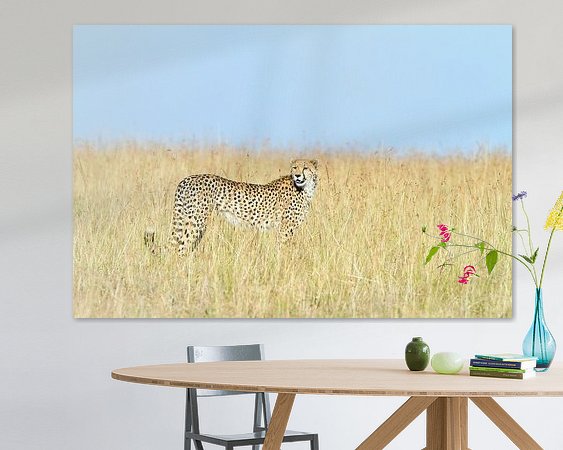 Aperçu de la chambre