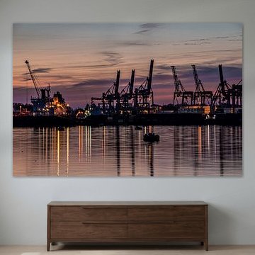 waalhaven rotterdam zonsondergang ecthome kranen containers