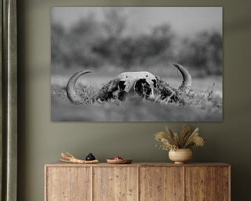 Crâne de buffle mort dans la nature noir et blanc sur Bobsphotography