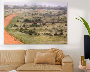 African landscape with elephants South Africa by Bobsphotography