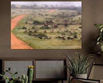 Afrikaans landschap met olifanten Zuid-Afrika van Bobsphotography