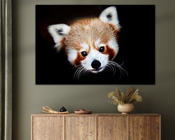 Portret Rode panda van peter reinders